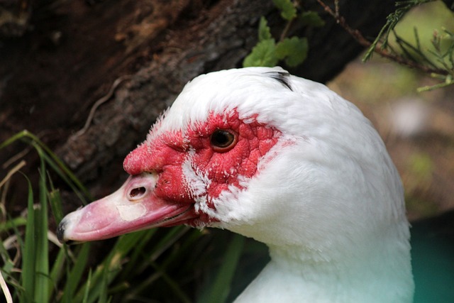 在比赛中 在比赛中