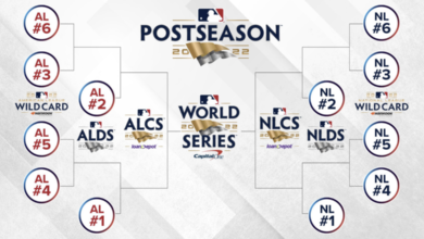 的回归计划 的回归计划