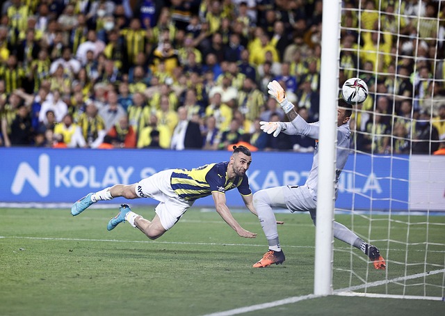 努涅斯凭借 努涅斯凭借