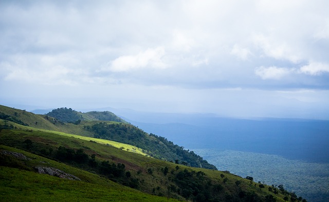 爱的圣保罗 爱的圣保罗